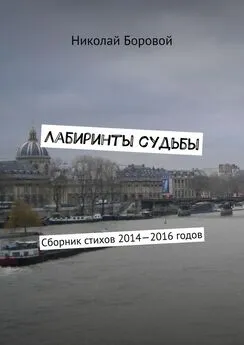 Николай Боровой - Лабиринты судьбы. Сборник стихов 2014—2016 годов