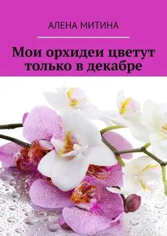 Алена Митина - Мои орхидеи цветут только в декабре