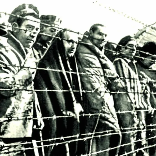 Репрессии расстрел главные палачи НКВД Источник - фото 41