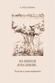 Евгений Поселянин - На небеси и на земли… Чувства и думы мирянина