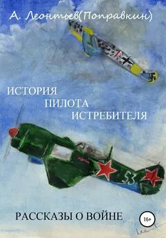 Алексей Леонтьев(Поправкин) - История пилота истребителя. Рассказы о войне
