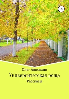 Олег Ашихмин - Университетская роща. Сборник рассказов