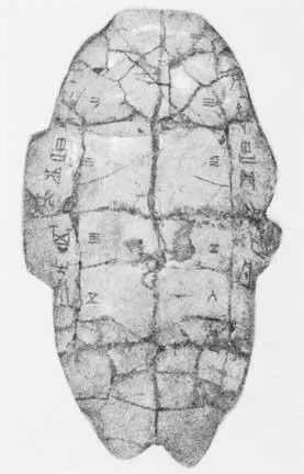 Черепаховый панцирь с предсказанием династии Шан Правление У Дина около 1200 - фото 3