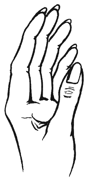 Худые костлявые руки Костлявые руки у женщины выглядят не слишком - фото 14