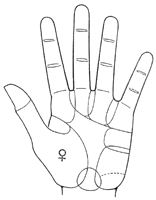 Холм Венеры С одной стороны женщина с хорошо развитым холмом Венеры это - фото 15