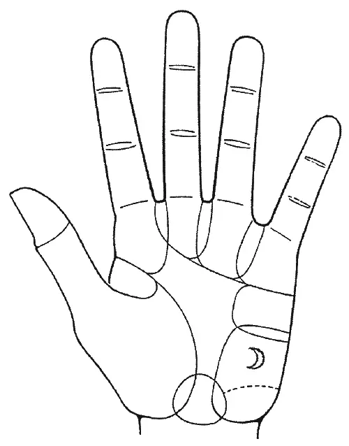 Холм Луны Здравомыслящим мужчинам которые предпочитают умных женщин следует - фото 16