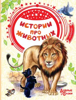 Лев Толстой - Истории про животных