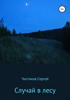 Сергей Чистиков - Случай в лесу