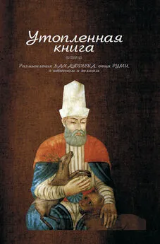 Валад Бахаутдин - Утопленная книга. Размышления Бахауддина, отца Руми, о небесном и земном