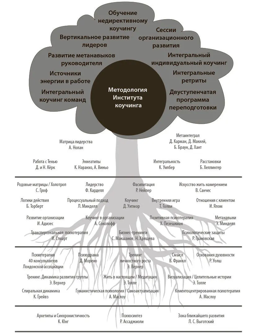 Рис 11Дерево методологии интегрального коучинга Воздушные корни наши - фото 1
