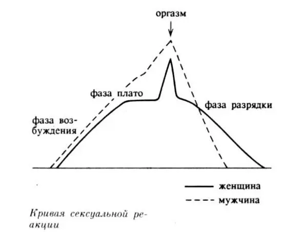 Рисунок 2 Схема протекания фаз во время полового акта Платофаза вторая фаза - фото 3