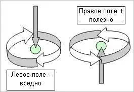 Эффект скручивания торсионных полей при правом направлении вращения приводит к - фото 1