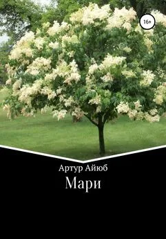 Артур Айюб - Мари