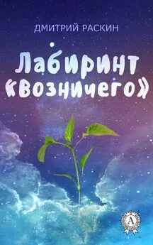 Дмитрий Раскин - Лабиринт «Возничего»
