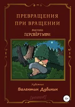 Валентин Дубинин - Превращения при вращении