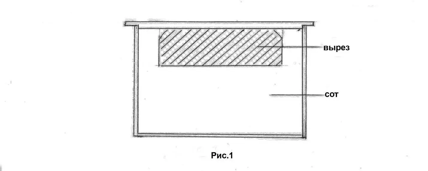 Пчелы вырез застроят трутовыми ячейками и матки засеют раннего трута Каждая - фото 2