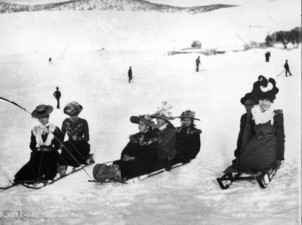 Катание на санях 5 января 1910 г Как обычно с 1 января начался Венский - фото 18