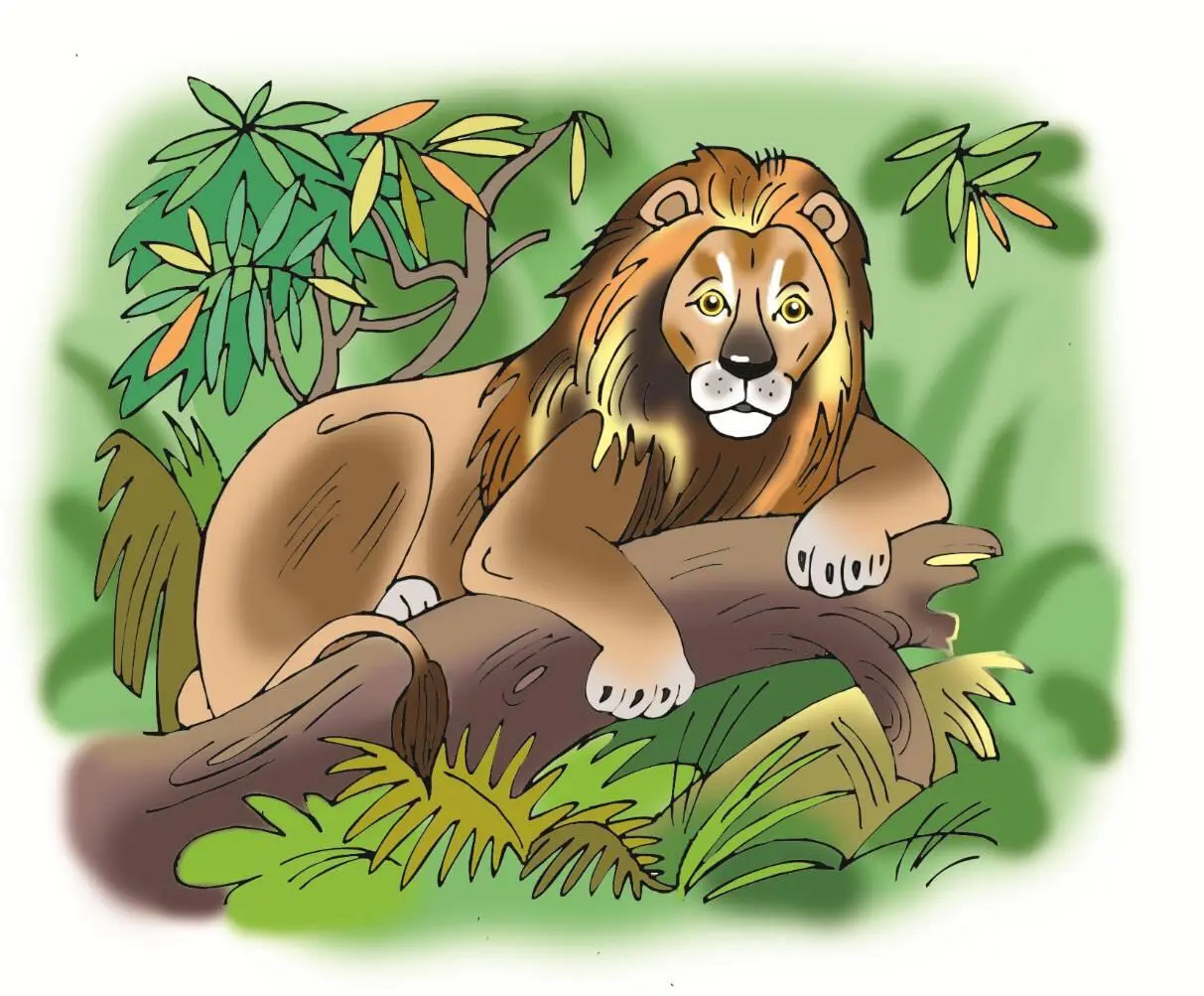 Кто хозяин джунглей Решили выяснить Лев и Носорог кто из них хозяин - фото 12