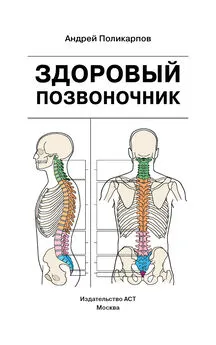 Андрей Поликарпов - Здоровый позвоночник