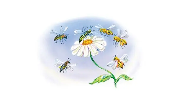 Как прошло лето стали трутни ссориться с пчёлами кому мёд есть Позвали пчёлы - фото 12