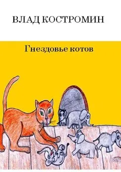 Влад Костромин - Гнездовье котов