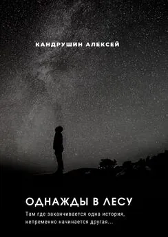 Алексей Кандрушин - Однажды в лесу. Там где начинается одна история, непременно начинается другая…