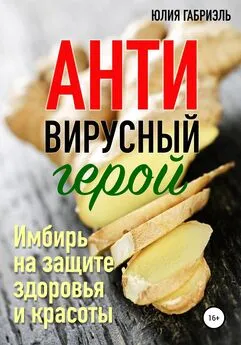 Юлия Габриэль - Антивирусный герой