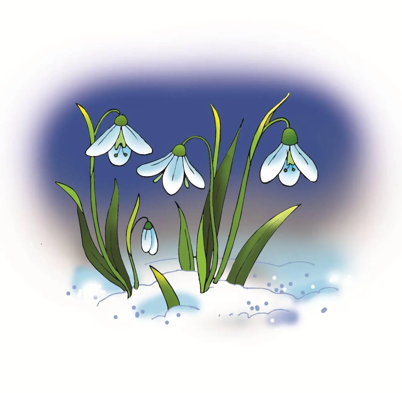 Подснежник У холма под шубой снежной Ждёт весну цветочек нежный Он тепла - фото 11