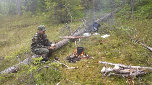 Цветёт морошка После ППНа заехали к вечеру на л - фото 38