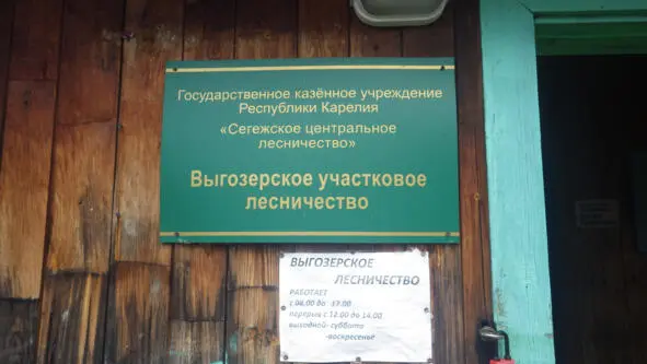 Записки лесопатолога Сезон 2015 года - фото 82