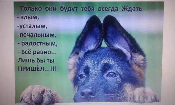 Азы родной речи Нельзя не отметить адресный характер языка которым - фото 4