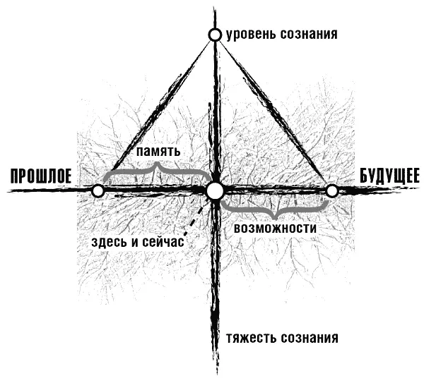 Маятник сознания 2 Качнувшись в будущее маятник сознания как бы ставит метку - фото 9