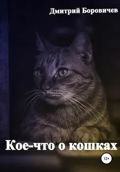 Дмитрий Боровичев - Кое-что о кошках
