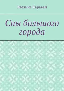 Эвелина Каравай - Сны большого города