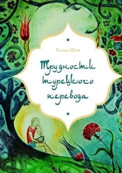 Елена Шен - Трудности турецкого перевода
