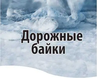 Легкий морозец безветрие Хруст снега под валенками на дороге к заветным - фото 19