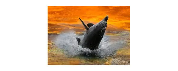 Море плещется игриво Ходят судна ходуном В море плавают дельфины Отлично - фото 3