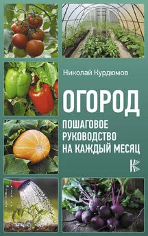 Николай Курдюмов - Огород. Пошаговое руководство на каждый месяц