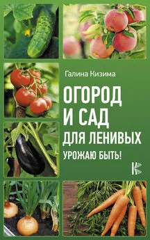 Галина Кизима - Огород и сад для ленивых. Урожаю быть!