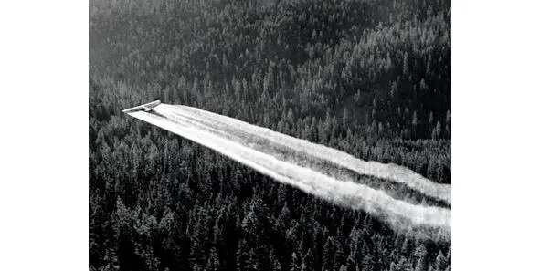 Рисунок 9 Распыление ДДТ в США Орегон 1955 г Оставалось совсем немного - фото 9