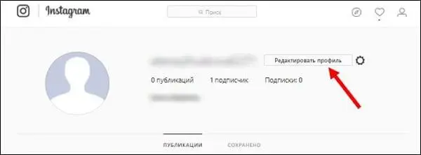 Выберите Редактировать профиль Вставляете из буфера обмена ранее - фото 24
