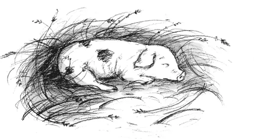 Глава 1 Ох бедняжка Жасмин лежала на кровати вместе со своими кошками и - фото 1