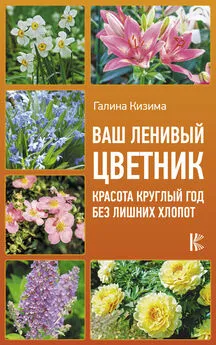 Галина Кизима - Ваш ленивый цветник. Красота круглый год без лишних хлопот