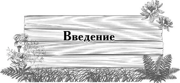 Цветники для разумно ленивых садоводов Цветники как хорошо известно требуют - фото 1