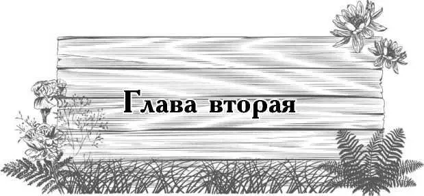 Как хорошо известно каждое растение нуждается в определенном освещении а - фото 3