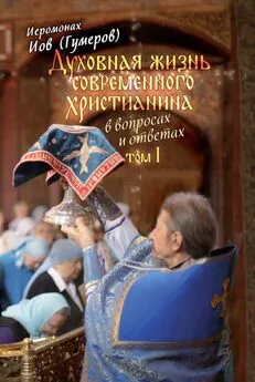 Иов (Гумеров) - Духовная жизнь современного христианина в вопросах и ответах. Том 1