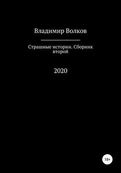 Владимир Волков - Страшные истории. Сборник второй