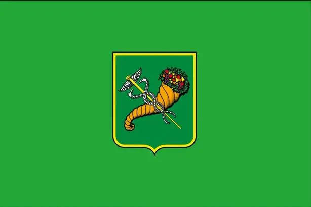 Флаг Харькова с 1995 года Зеленый цвет в геральдике означает надежду радость - фото 5