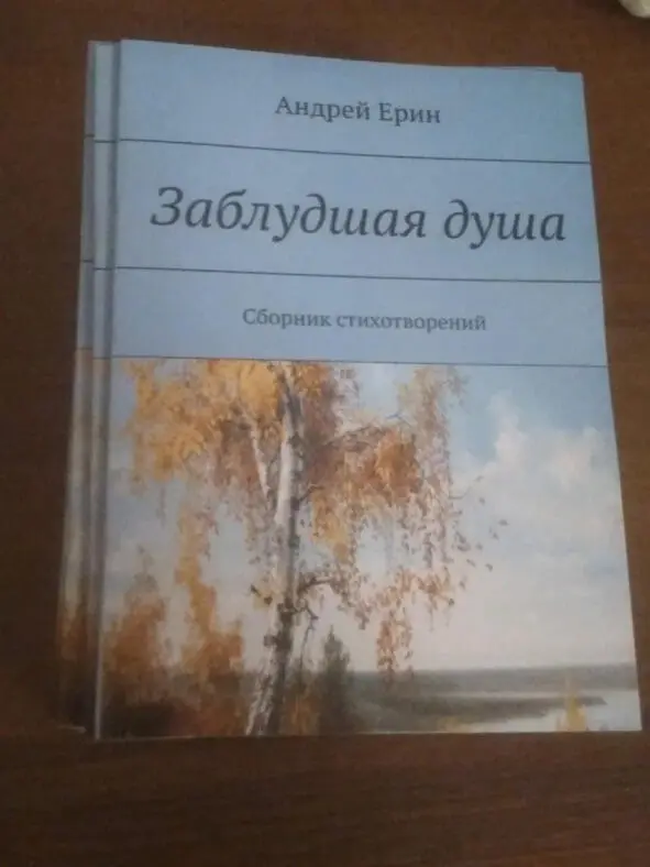 Первый сборник стихотворений Заблудшая Душа 26102019 год Глава Девятая - фото 6