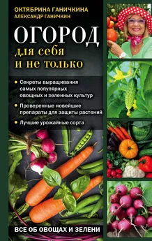 Александр Ганичкин - Огород для себя и не только. Все об овощах и зелени